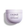 Manteiga Corporal Caudalie Vinotherapist Replenishing 250 ml | Tienda24 - Global Online Shop Tienda24.eu