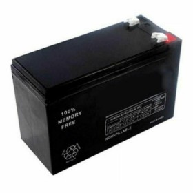 Batterie pour Système d'Alimentation Sans Interruption Salicru 013BS000001 12 V de Salicru, Remplacement des batteries pour l...