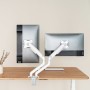 Screen Table Support TooQ DB4132TNR-W 32" 17"-32" by TooQ, Monitor Arms & Stands - Ref: M0316096, Price: 65,04 €, Discount: %