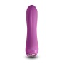 Mini Vibromasseur NS Novelties Charms Fern Ruby Rouge | Tienda24 Tienda24.eu