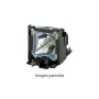 Projektor-Lampe BenQ 5J.JNL05.001 von BenQ, Projektor-Zubehör - Ref: M0323898, Preis: 249,89 €, Rabatt: %