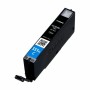 Original Ink Cartridge Canon 242X062 Cyan by Canon, Printer toners and inks - Ref: M0504274, Price: 21,71 €, Discount: %