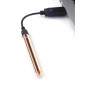 Bullet Vibrator Le Wand Necklace Pendant Rose Gold | Tienda24 Tienda24.eu