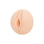 Masturbateur Fleshlight Riley Reid de Fleshlight, Accessoires et housses de masturbation - Réf : M0401778, Prix : 56,86 €, Re...