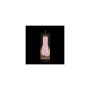 Masturbator Fleshlight Lady Stamina Training Unit von Fleshlight, Masturbator-Zubehör und Deckel - Ref: M0401790, Preis: 49,8...