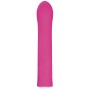 G-Spot Vibrator Evolved Pink | Tienda24 Tienda24.eu