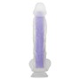 Dildo Evolved Lila | Tienda24 Tienda24.eu