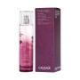 Profumo Unisex Caudalie Thé Des Vignes Eau Fraiche Eaux Fraiches 100 ml | Tienda24 - Global Online Shop Tienda24.eu