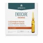 Ampolas Endocare Radiance Proteoglicanos 30 x 2 ml 2 ml de Endocare, Hidratantes - Ref: S05108294, Preço: 50,54 €, Desconto: %