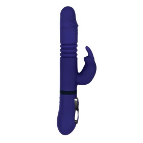 Vibrador de Ponto G Evolved Roxo Borboleta | Tienda24 Tienda24.eu