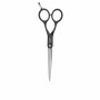 Hair scissors Steinhart 6 by Steinhart, Hair scissors - Ref: S05124949, Price: 46,83 €, Discount: %