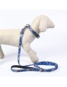 Dog Lead Stitch Grey Blue M | Tienda24 Tienda24.eu