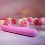 Vibromasseur à boules Evolved Rose | Tienda24 Tienda24.eu