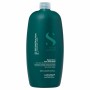 Shampoo Alfaparf Milano SEMI DI LINO 1 L by Alfaparf Milano, Shampoos - Ref: S05127321, Price: 44,53 €, Discount: %