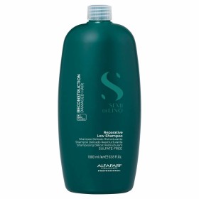 Shampoo Alfaparf Milano SEMI DI LINO 1 L di Alfaparf Milano, Shampoo - Rif: S05127321, Prezzo: 44,53 €, Sconto: %