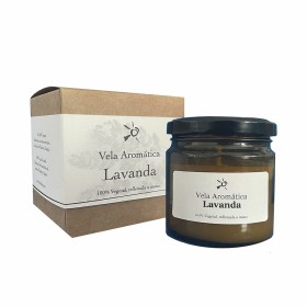 Lot de désodorisants Lavande Gel (24 Unités) | Tienda24 - Global Online Shop Tienda24.eu