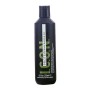 Fixiergel Protein I.c.o.n. Protein (250 ml) 250 ml | Tienda24 - Global Online Shop Tienda24.eu