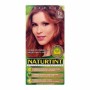 Tinta Sem Amoníaco Naturtint Naturtint Naturtint G Loiro Dourado 170 ml de Naturtint, Coloração permanente - Ref: S0524588, P...