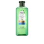 Shampooing Herbal Botanicals Aloe & Bambu (380 ml) de Herbal, Shampooings - Réf : S0578367, Prix : 5,52 €, Remise : %