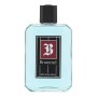 Aftershave Puig Brummel 250 ml Men by Puig, Aftershaves - Ref: S0596448, Price: 9,27 €, Discount: %