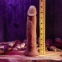 Natürliches Dildo Evolved Silikon ABS Ø 4,5 cm | Tienda24 Tienda24.eu