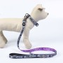 Collare per Cani Disney Grigio XS/S di Disney, Collari - Rif: S0735067, Prezzo: 6,17 €, Sconto: %