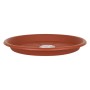 Flower Pot Dish Dem Brown | Tienda24 - Global Online Shop Tienda24.eu