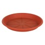 Flower Pot Dish Dem Brown | Tienda24 - Global Online Shop Tienda24.eu