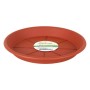 Flower Pot Dish Dem Brown | Tienda24 - Global Online Shop Tienda24.eu