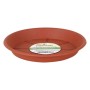 Flower Pot Dish Dem Brown | Tienda24 - Global Online Shop Tienda24.eu