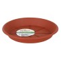 Flower Pot Dish Dem Brown | Tienda24 - Global Online Shop Tienda24.eu