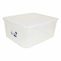 Storage Box with Lid Tontarelli Dodo's (39,6 x 33 x 17,7 cm) 39,6 x 33 x 17,7 cm (12 Units) by Tontarelli, Lidded Storage Bin...