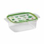 Lunch box Snips Hermetically sealed 1,8 L Rectangular (12 Units) by Snips, Food storage - Ref: S2231326, Price: 45,83 €, Disc...