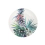 Geschirr-Set Algon Einwegartikel Pappe Tropical 10 Stücke 20 cm (24 Stück) | Tienda24 - Global Online Shop Tienda24.eu