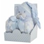 Twister Coralina Blue Bear by BigBuy Fun, Floor Games - Ref: S2426162, Price: 16,25 €, Discount: %