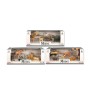 Conjunto 6 Animais Selvagens 30 x 10 x 13 cm | Tienda24 - Global Online Shop Tienda24.eu