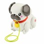 Cão Interativo Fisher Price de Fisher Price, Brinquedos para arrastar - Ref: S2441441, Preço: 13,44 €, Desconto: %