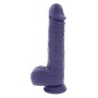 Vibrator Evolved Lila | Tienda24 Tienda24.eu