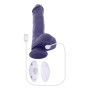 Vibrator Evolved Lila | Tienda24 Tienda24.eu