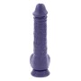 Vibrator Evolved Lila | Tienda24 Tienda24.eu