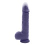 Vibrator Evolved Lila | Tienda24 Tienda24.eu