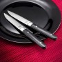 Meat Knife Set Amefa Fusion Bicoloured Metal 12 Units 22 x 1,8 x 1,2 cm | Tienda24 - Global Online Shop Tienda24.eu