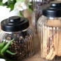 Jar Quid Maison Transparent Glass 500 ml (12 Units) by Quid, Food storage - Ref: S2711810, Price: 25,02 €, Discount: %