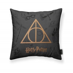 Housse de coussin Harry Potter Hogwarts Cuadros Multicouleur 50 x 50 cm | Tienda24 Tienda24.eu