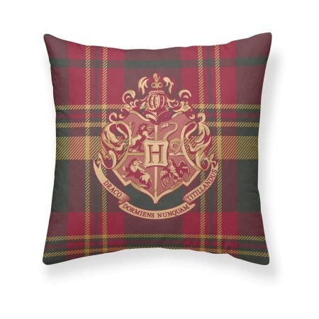 Housse de coussin Harry Potter Hogwarts Cuadros Multicouleur 50 x 50 cm | Tienda24 Tienda24.eu