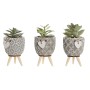 Decorative Plant Home ESPRIT Polyethylene Cement 9,5 x 9,5 x 12 cm (3 Units) by Home ESPRIT, Artificial Plants - Ref: S305619...