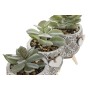 Plante décorative Home ESPRIT Polyéthylène Ciment 9,5 x 9,5 x 12 cm (3 Unités) de Home ESPRIT, Plantes artificielles - Réf : ...