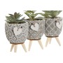 Plante décorative Home ESPRIT Polyéthylène Ciment 9,5 x 9,5 x 12 cm (3 Unités) de Home ESPRIT, Plantes artificielles - Réf : ...