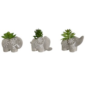 Pianta Decorativa Home ESPRIT Polietilene Cemento 8 x 5 x 7 cm (3 Unità) di Home ESPRIT, Piante artificiali - Rif: S3056192, ...