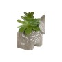 Plante décorative Home ESPRIT Polyéthylène Ciment 8 x 5 x 7 cm (3 Unités) de Home ESPRIT, Plantes artificielles - Réf : S3056...